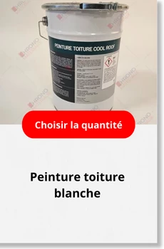 Peinture toiture blanche